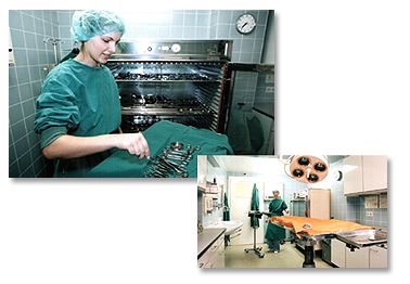 Operationen Tierarzt Düsseldorf